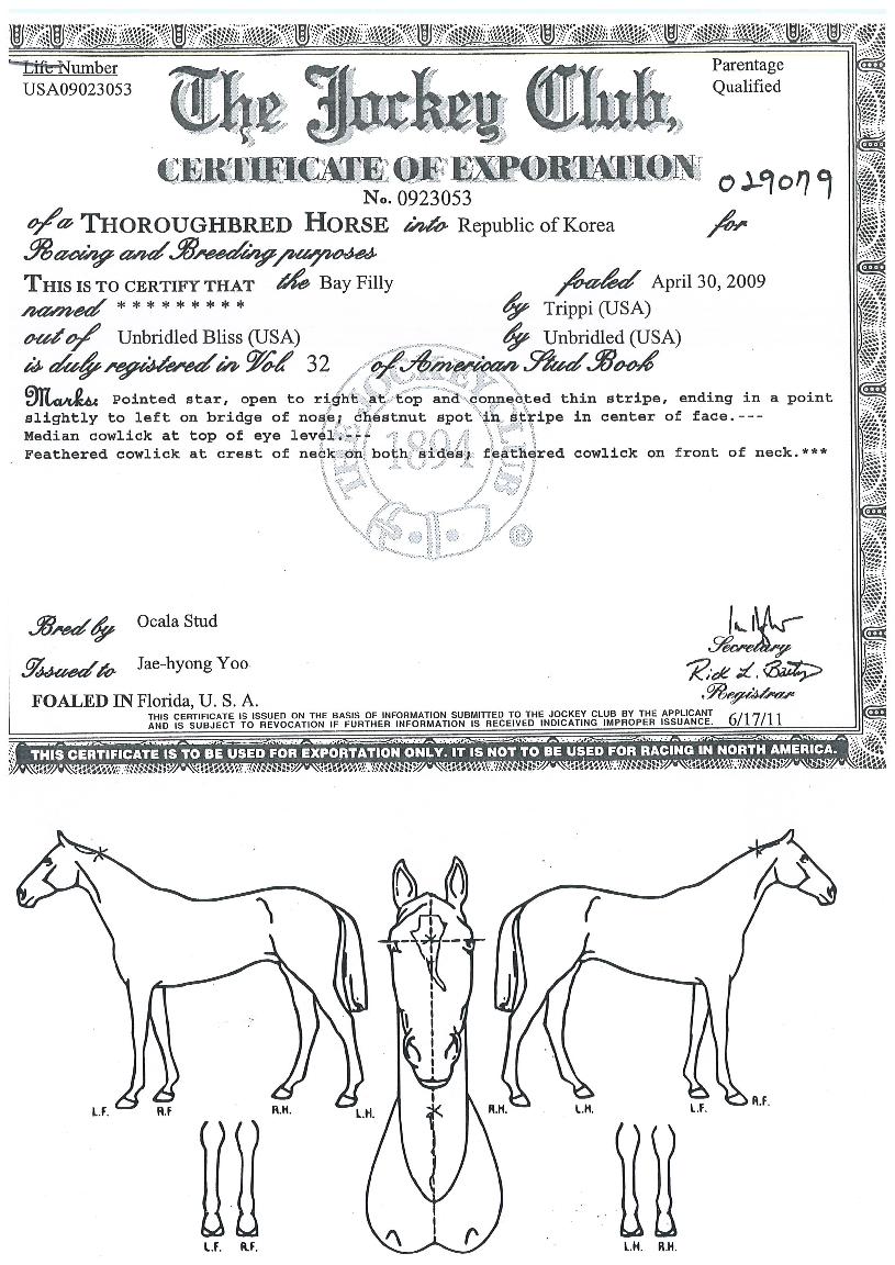 Æ®¸®ÇÇ´í¼ÀÇ Ãø¸é,¿ì¸é,µÞ¸é,µÎ»ó,´Ù¸®ÀÇ Æ¯Â¡µµÇØ