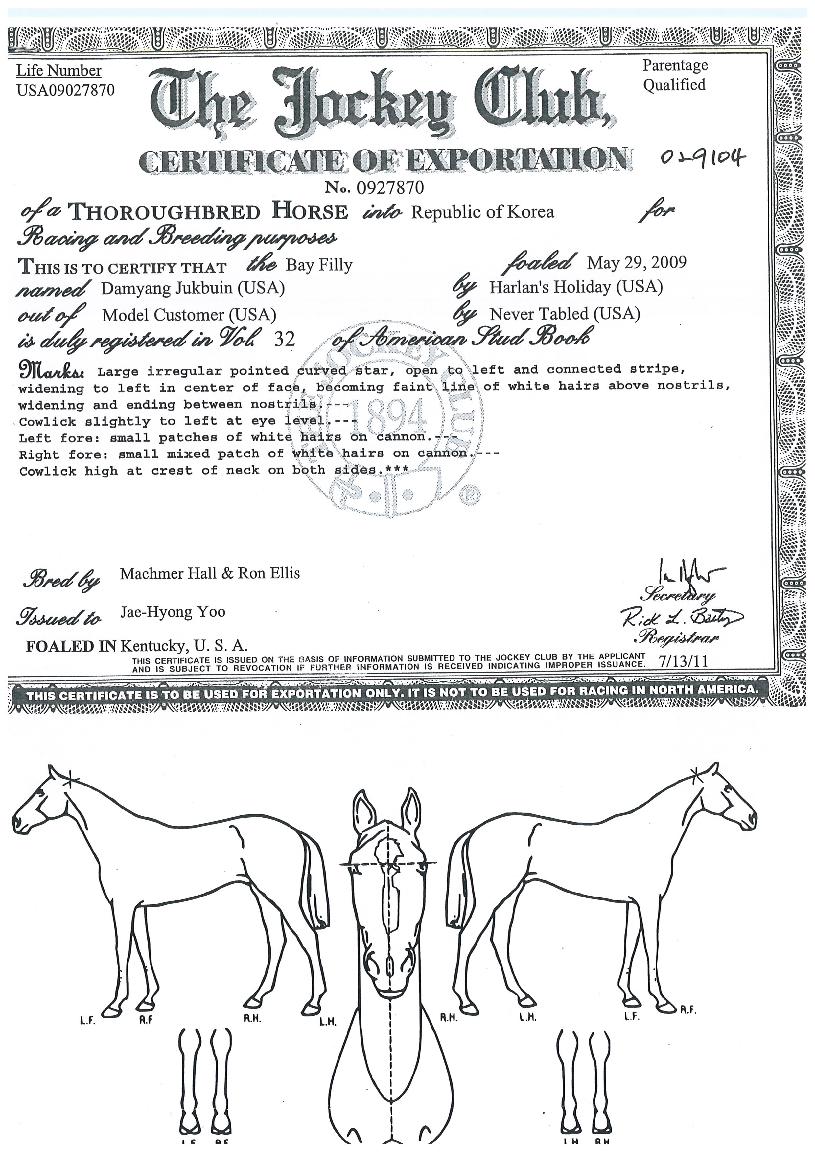 ´ã¾çÁ׺ÎÀÎÀÇ Ãø¸é,¿ì¸é,µÞ¸é,µÎ»ó,´Ù¸®ÀÇ Æ¯Â¡µµÇØ