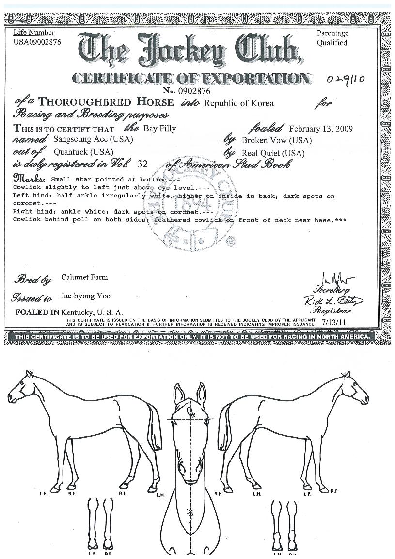 »ó½Â¿¡À̽ºÀÇ Ãø¸é,¿ì¸é,µÞ¸é,µÎ»ó,´Ù¸®ÀÇ Æ¯Â¡µµÇØ