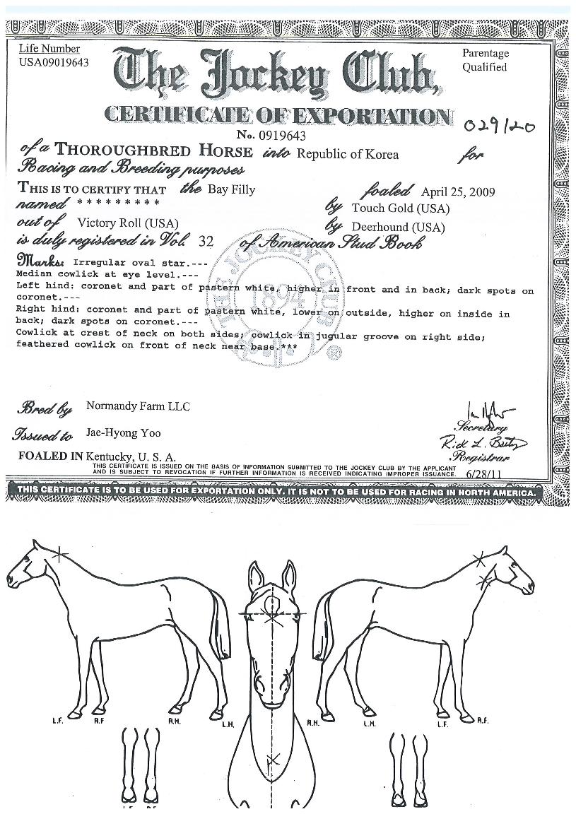 �����Ķ��� ����,���,�޸�,�λ�,�ٸ��� Ư¡����