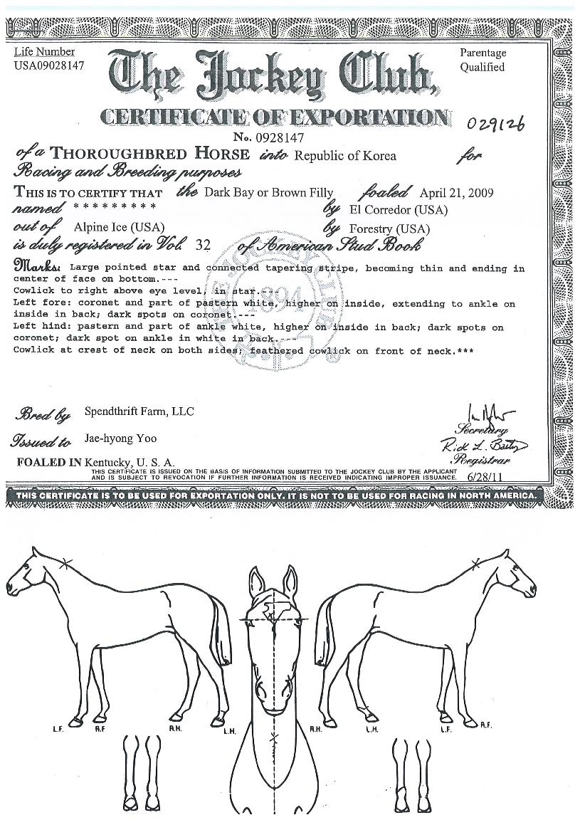 ���������� ����,���,�޸�,�λ�,�ٸ��� Ư¡����