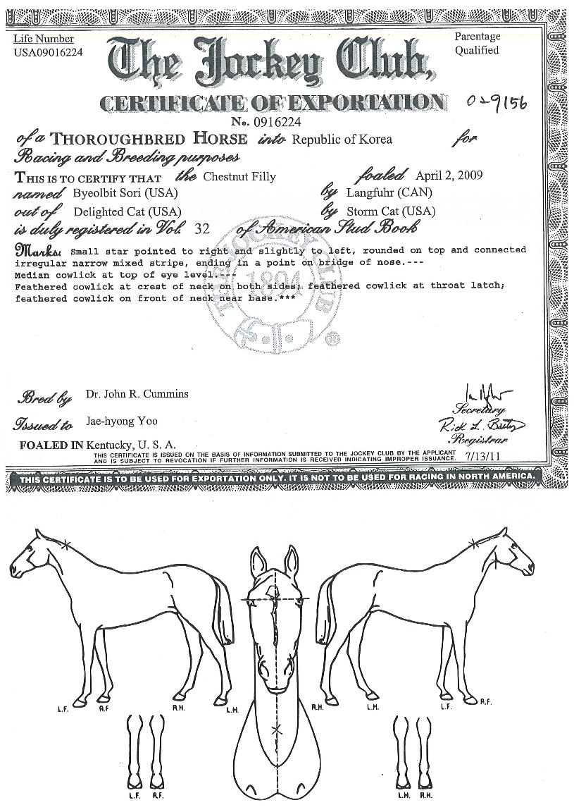 �����Ҹ��� ����,���,�޸�,�λ�,�ٸ��� Ư¡����