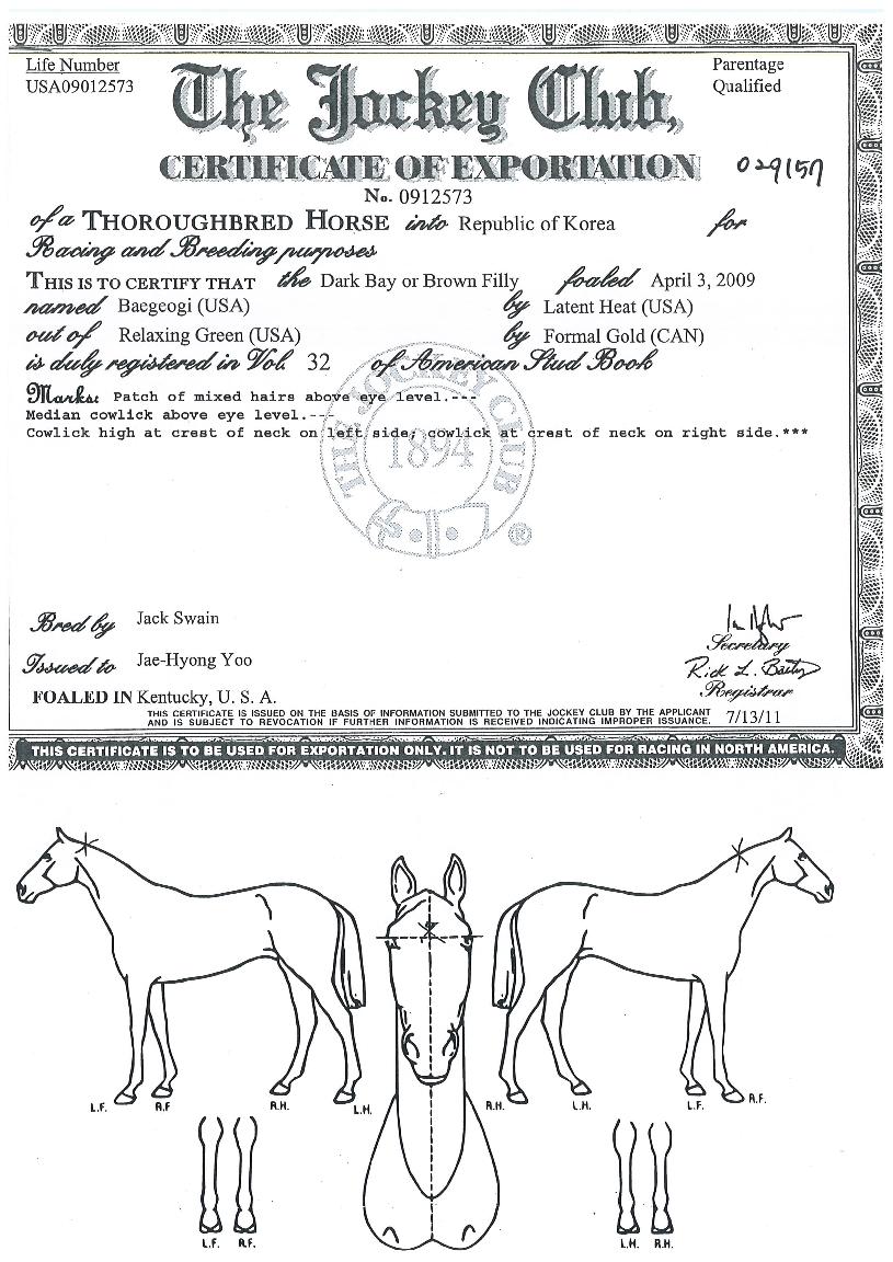 ������� ����,���,�޸�,�λ�,�ٸ��� Ư¡����