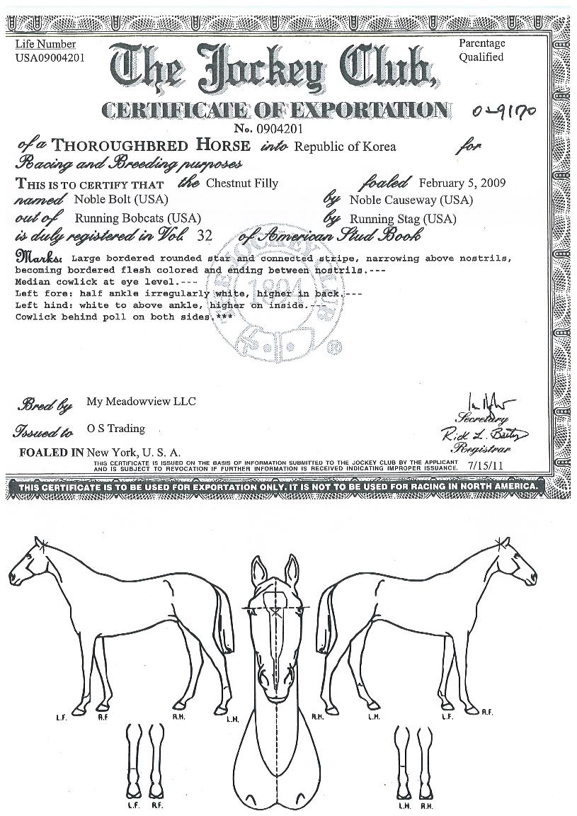 �����Ʈ�� ����,���,�޸�,�λ�,�ٸ��� Ư¡����