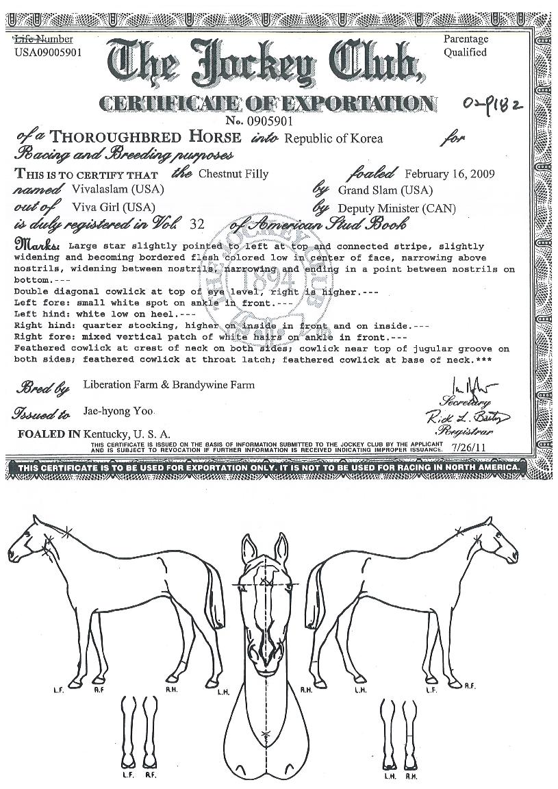 ��ٶ󽽷��� ����,���,�޸�,�λ�,�ٸ��� Ư¡����