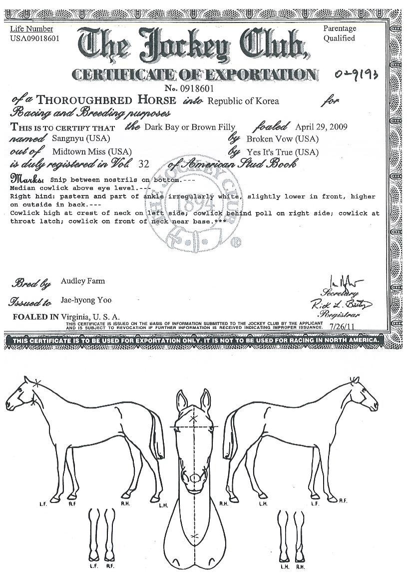 »ó·ùÀÇ Ãø¸é,¿ì¸é,µÞ¸é,µÎ»ó,´Ù¸®ÀÇ Æ¯Â¡µµÇØ