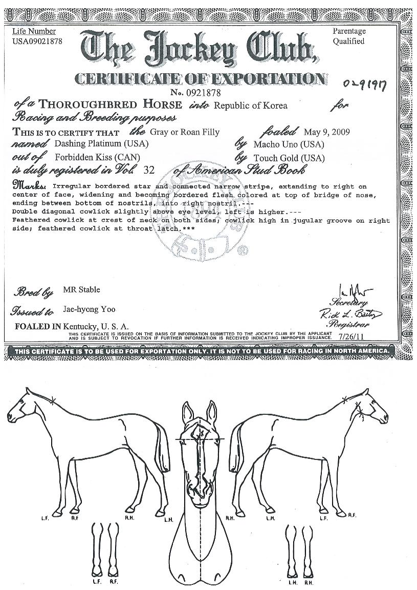 ´ë½ÌÇ÷¡Æ¼³ÑÀÇ Ãø¸é,¿ì¸é,µÞ¸é,µÎ»ó,´Ù¸®ÀÇ Æ¯Â¡µµÇØ