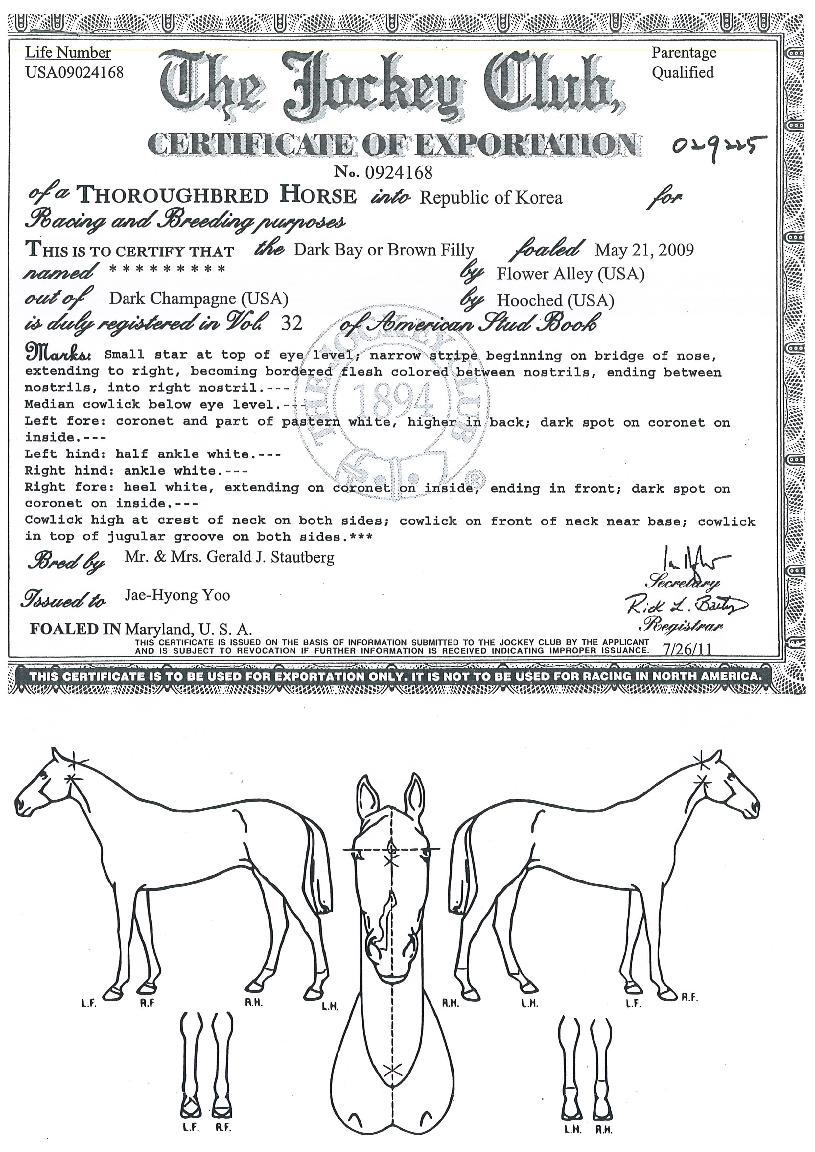 ·¯ºí¸®·¯ºí¸®ÀÇ Ãø¸é,¿ì¸é,µÞ¸é,µÎ»ó,´Ù¸®ÀÇ Æ¯Â¡µµÇØ