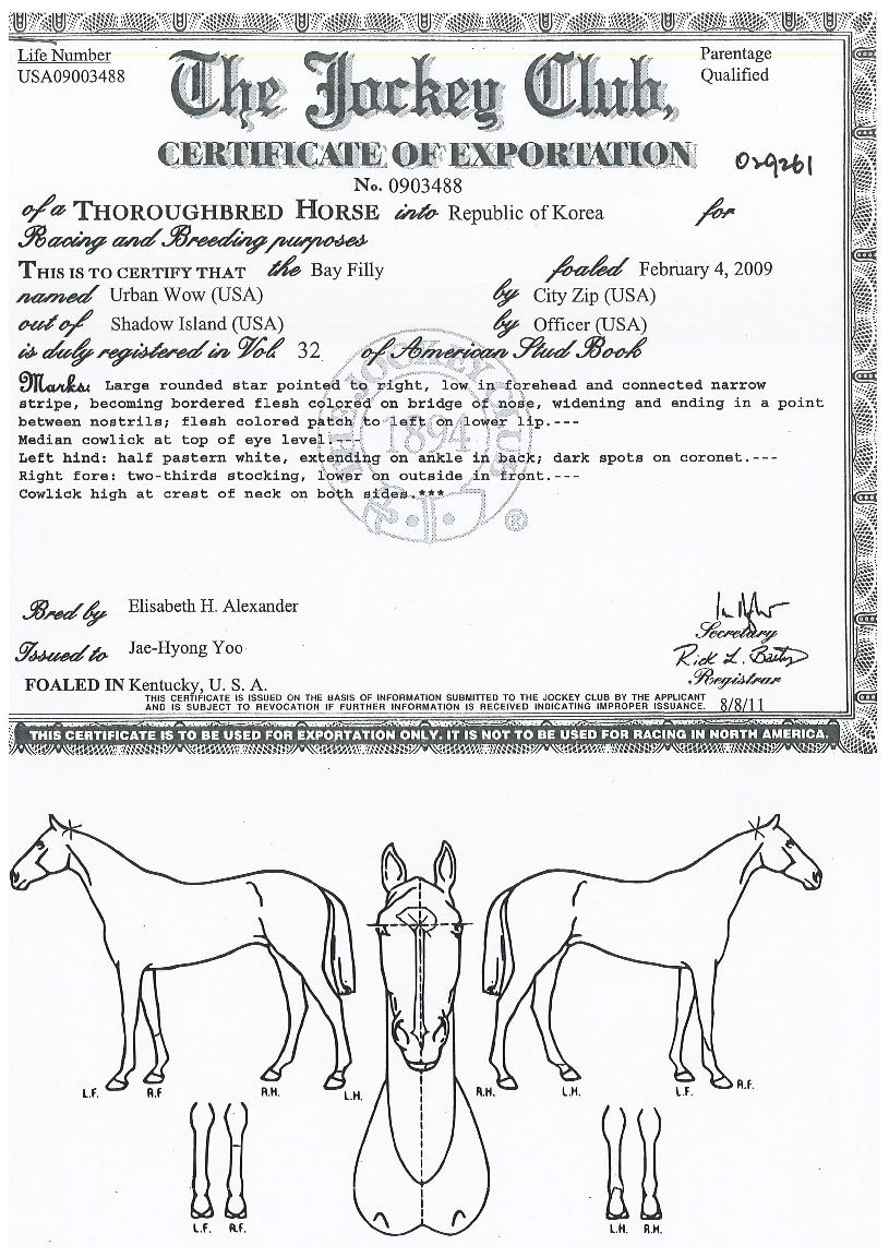 ����Ϳ��� ����,���,�޸�,�λ�,�ٸ��� Ư¡����