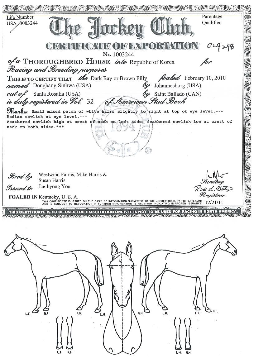 µ¿¹æ½ÅÈÀÇ Ãø¸é,¿ì¸é,µÞ¸é,µÎ»ó,´Ù¸®ÀÇ Æ¯Â¡µµÇØ