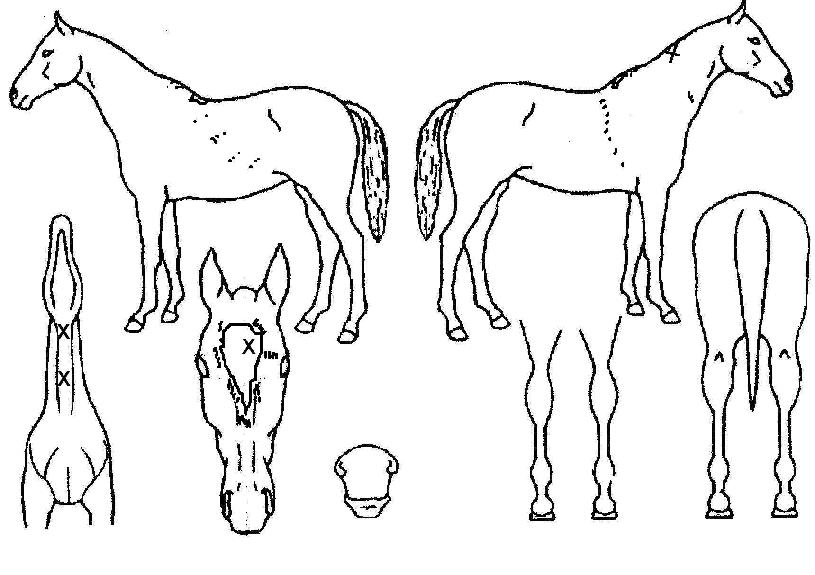 ��Ʈ�������� ����,���,�޸�,�λ�,�ٸ��� Ư¡����