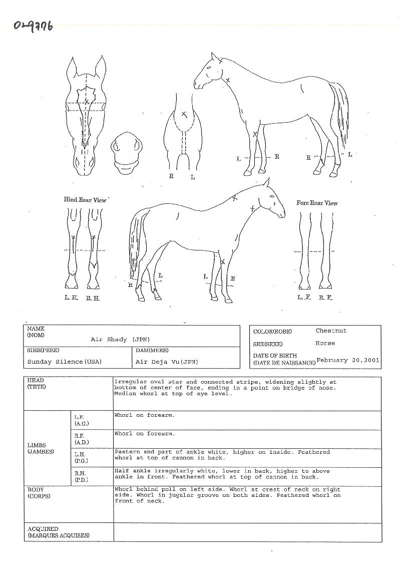 ����̵��� ����,���,�޸�,�λ�,�ٸ��� Ư¡����