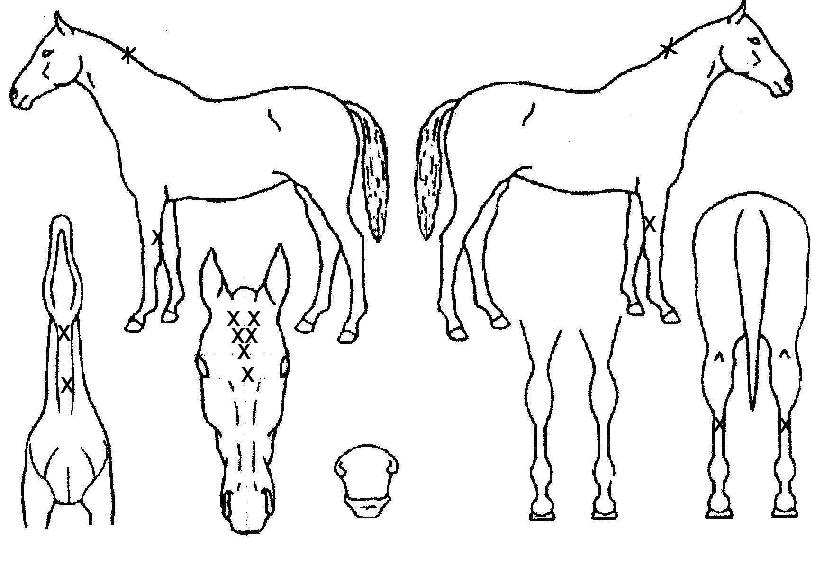 �δ����� ����,���,�޸�,�λ�,�ٸ��� Ư¡����