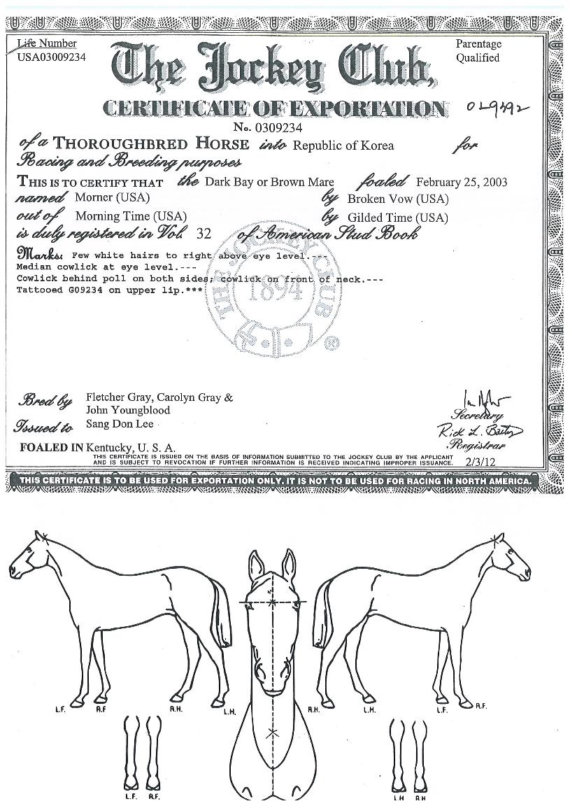 ¸ð³ÊÀÇ Ãø¸é,¿ì¸é,µÞ¸é,µÎ»ó,´Ù¸®ÀÇ Æ¯Â¡µµÇØ