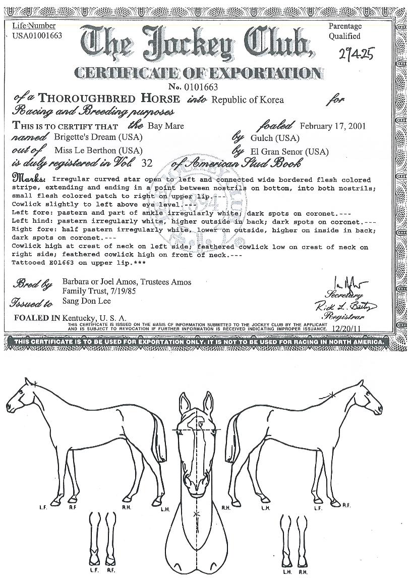 �긮�����帲�� ����,���,�޸�,�λ�,�ٸ��� Ư¡����