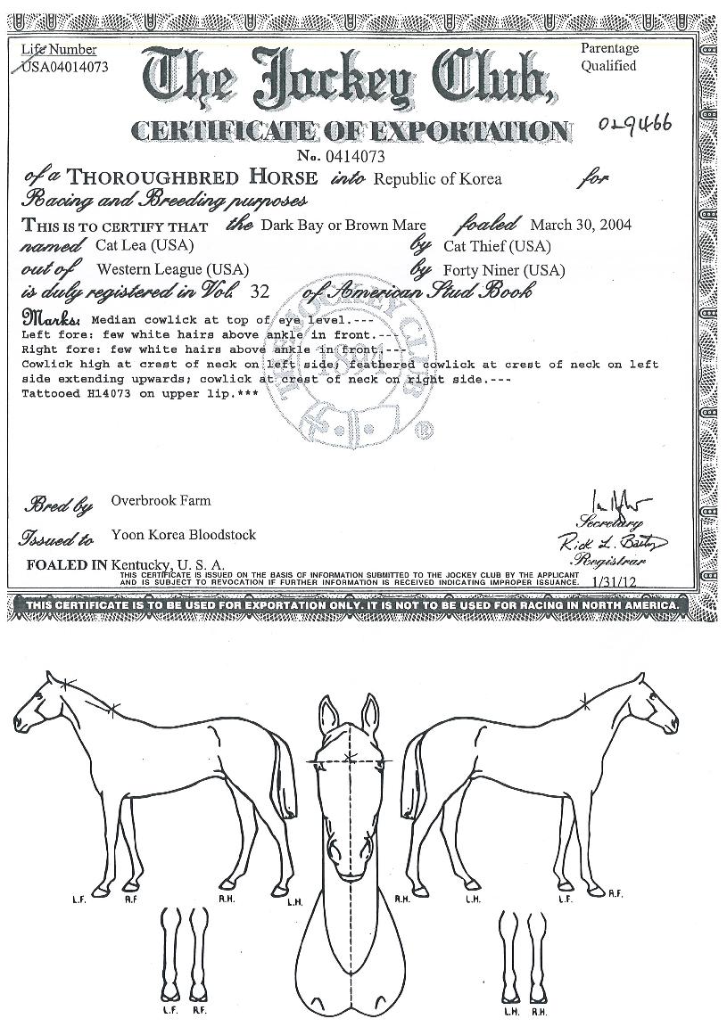 Ĺ���� ����,���,�޸�,�λ�,�ٸ��� Ư¡����