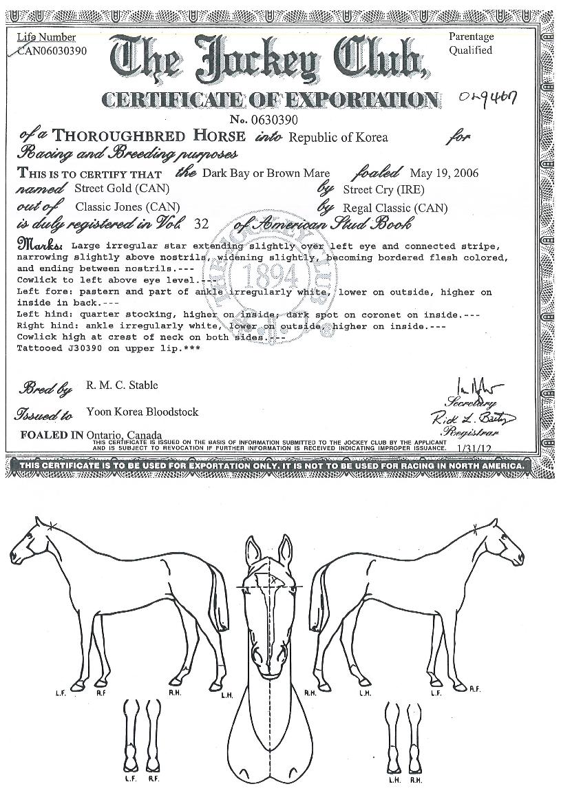 ��Ʈ��Ʈ����� ����,���,�޸�,�λ�,�ٸ��� Ư¡����