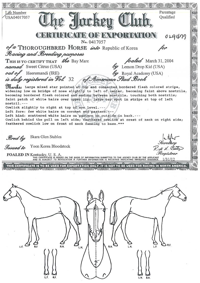 ½ºÀ§Æ®½ÃÆ®·¯½ºÀÇ Ãø¸é,¿ì¸é,µÞ¸é,µÎ»ó,´Ù¸®ÀÇ Æ¯Â¡µµÇØ