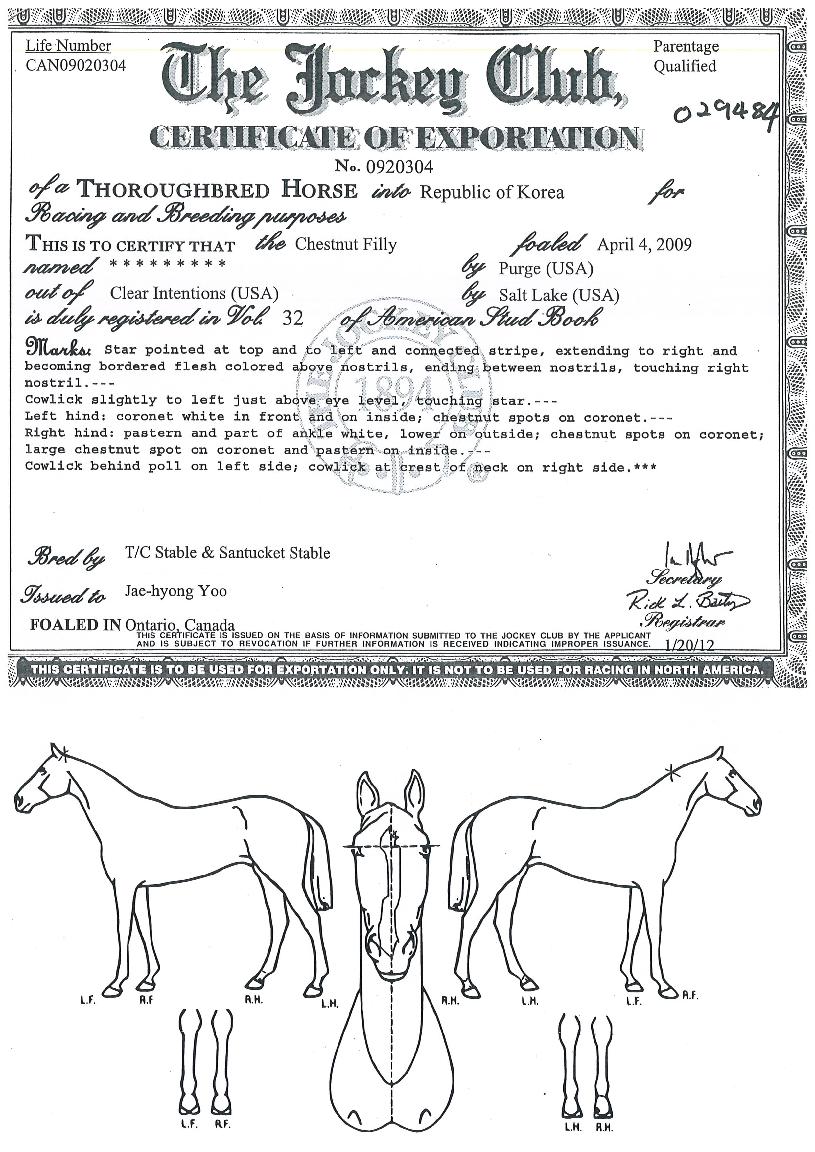 °ÉÁî¶óÀÌÅ©ÀÇ Ãø¸é,¿ì¸é,µÞ¸é,µÎ»ó,´Ù¸®ÀÇ Æ¯Â¡µµÇØ