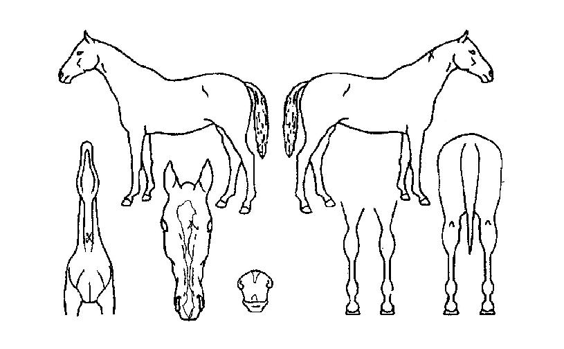 ��������� ����,���,�޸�,�λ�,�ٸ��� Ư¡����