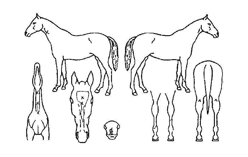 ��������� ����,���,�޸�,�λ�,�ٸ��� Ư¡����