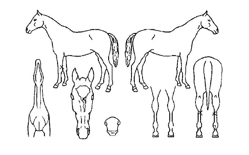 Ž������� ����,���,�޸�,�λ�,�ٸ��� Ư¡����