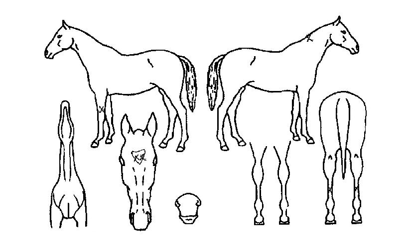 �������� ����,���,�޸�,�λ�,�ٸ��� Ư¡����