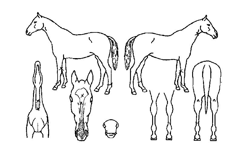 ������ũ�� ����,���,�޸�,�λ�,�ٸ��� Ư¡����