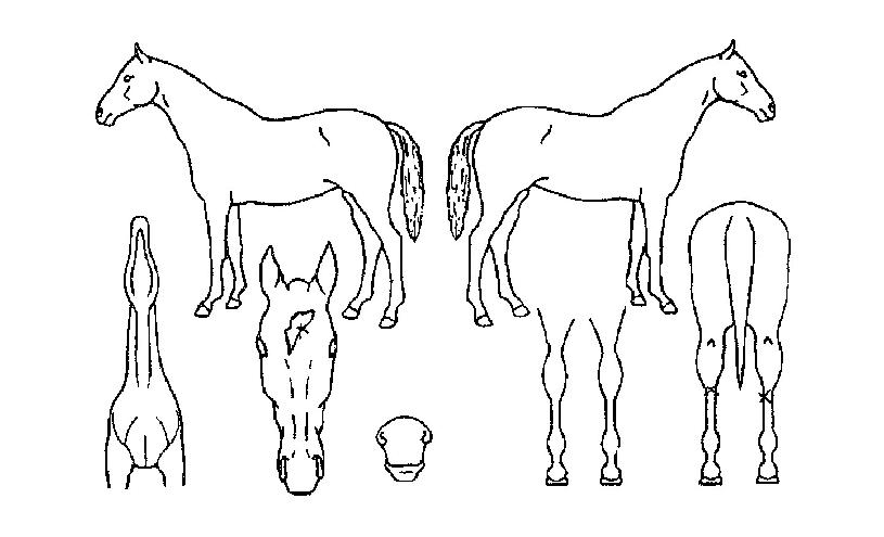 īư�������� ����,���,�޸�,�λ�,�ٸ��� Ư¡����