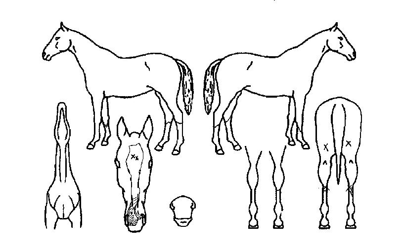 ȭ���Ѵܺ��� ����,���,�޸�,�λ�,�ٸ��� Ư¡����