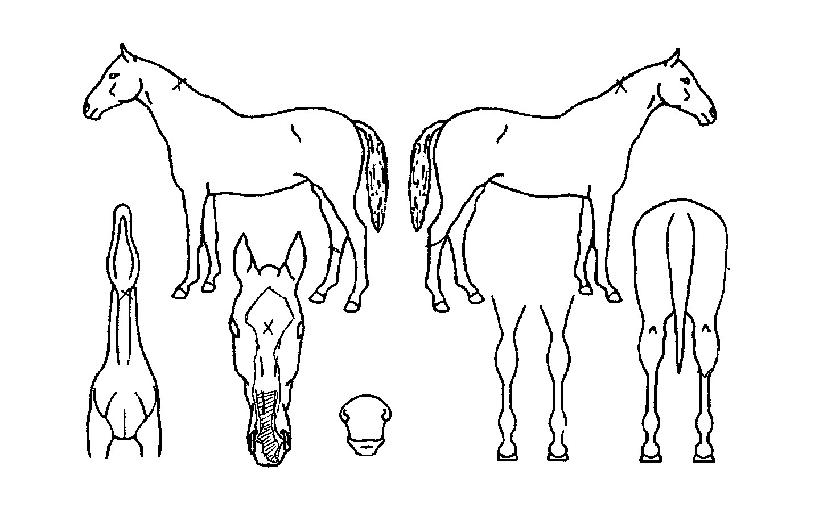 �����帮���� ����,���,�޸�,�λ�,�ٸ��� Ư¡����