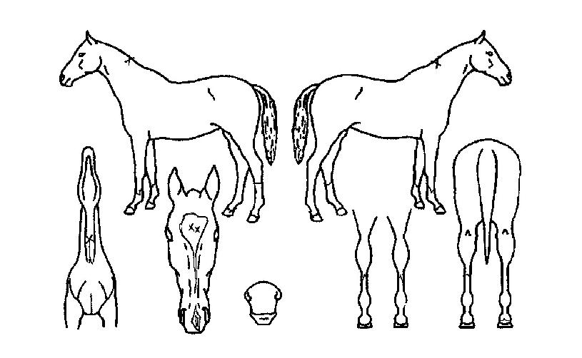 ��׽��ǵ��� ����,���,�޸�,�λ�,�ٸ��� Ư¡����