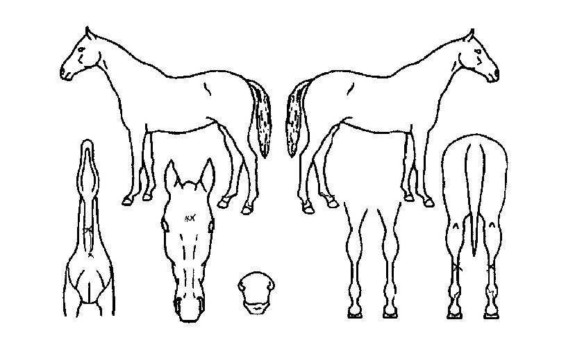 �������� ����,���,�޸�,�λ�,�ٸ��� Ư¡����