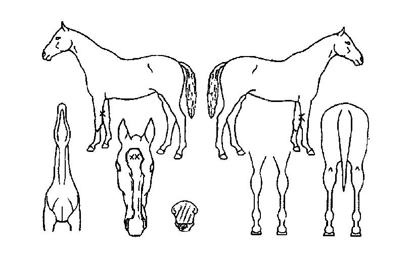 ���̽������� ����,���,�޸�,�λ�,�ٸ��� Ư¡����