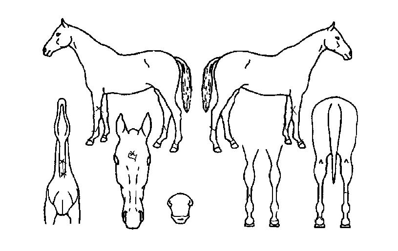 ����Ʈ����� ����,���,�޸�,�λ�,�ٸ��� Ư¡����