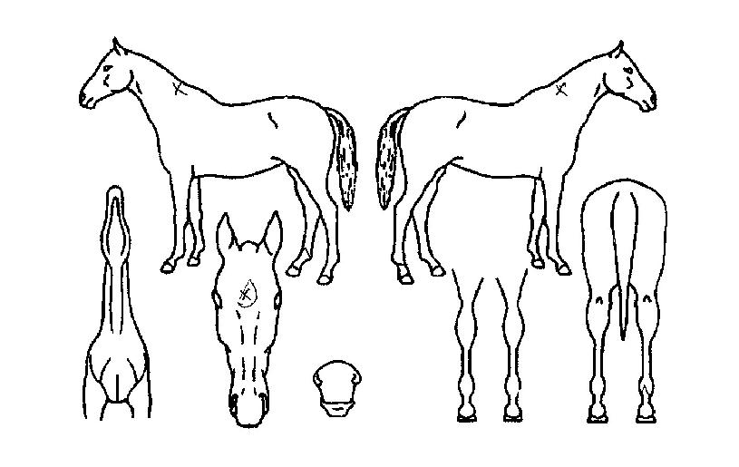 ������ġ�� ����,���,�޸�,�λ�,�ٸ��� Ư¡����