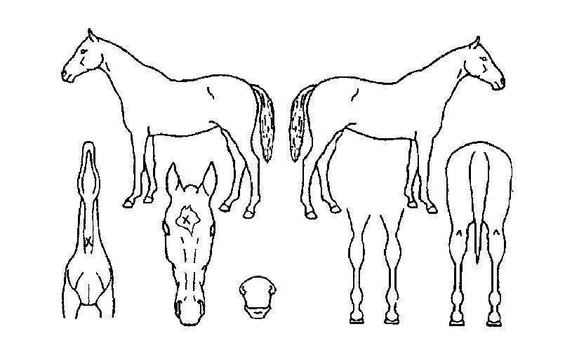 �������� ����,���,�޸�,�λ�,�ٸ��� Ư¡����