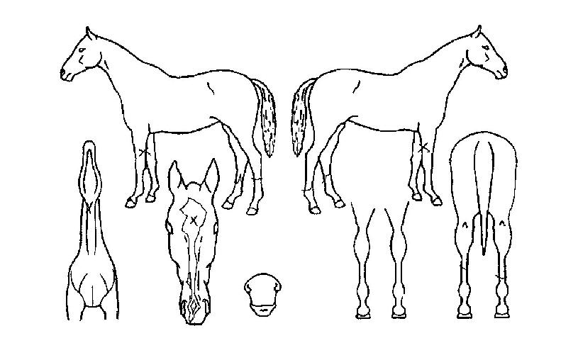 ���̽����� ����,���,�޸�,�λ�,�ٸ��� Ư¡����