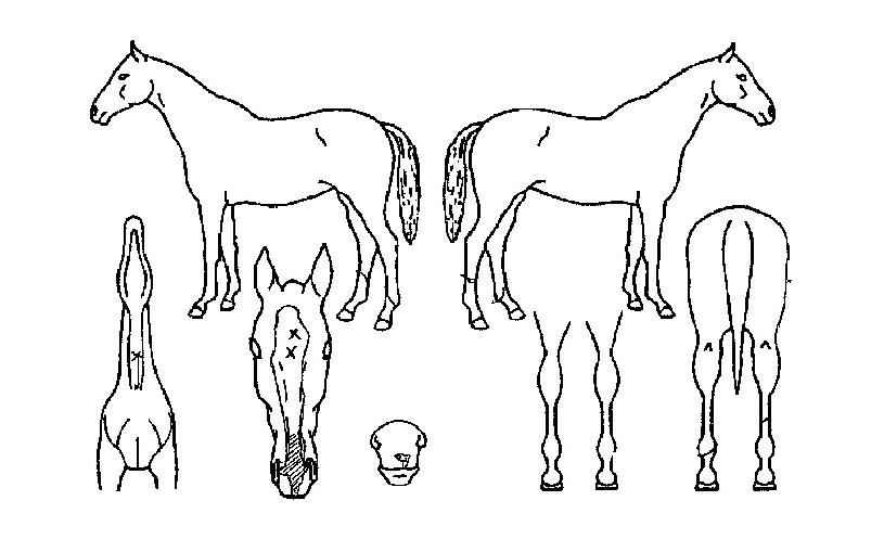 ��ġ�� ����,���,�޸�,�λ�,�ٸ��� Ư¡����