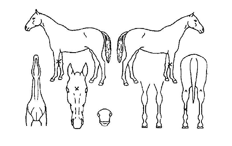 ��������� ����,���,�޸�,�λ�,�ٸ��� Ư¡����