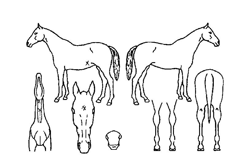 ���̽�Ÿ���� ����,���,�޸�,�λ�,�ٸ��� Ư¡����