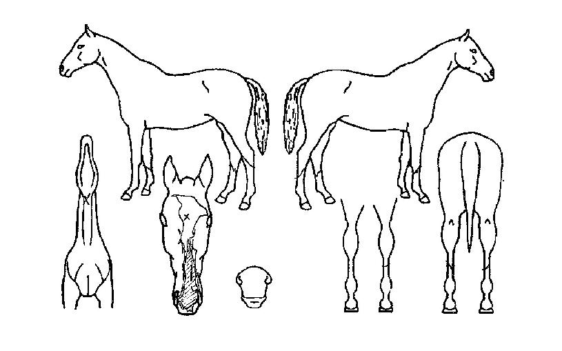 ��ġ���������ڸ��� ����,���,�޸�,�λ�,�ٸ��� Ư¡����