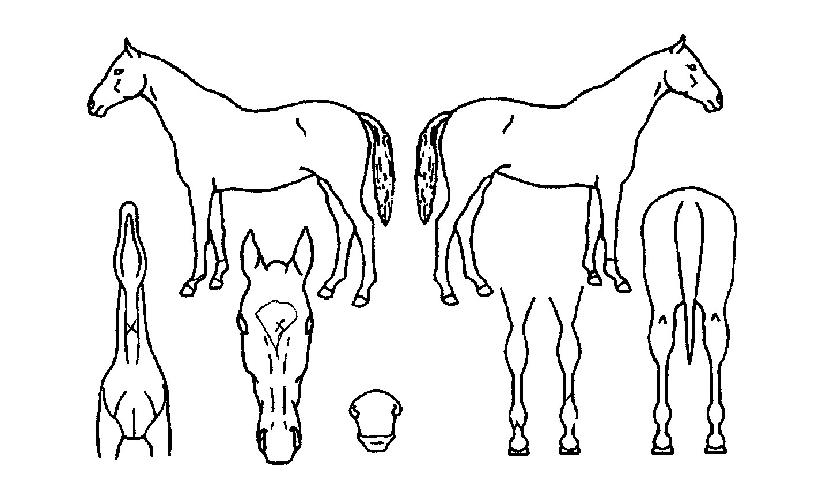 ���̽������� ����,���,�޸�,�λ�,�ٸ��� Ư¡����