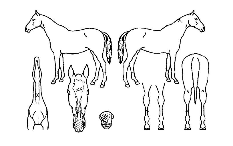 �Ϳ���� ����,���,�޸�,�λ�,�ٸ��� Ư¡����