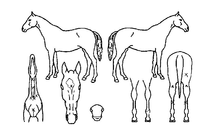 �Ƿ��� ����,���,�޸�,�λ�,�ٸ��� Ư¡����