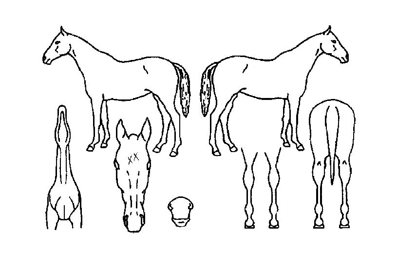 Ǯ������ ����,���,�޸�,�λ�,�ٸ��� Ư¡����