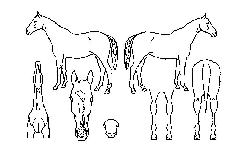 ���ݺ����� ����,���,�޸�,�λ�,�ٸ��� Ư¡����