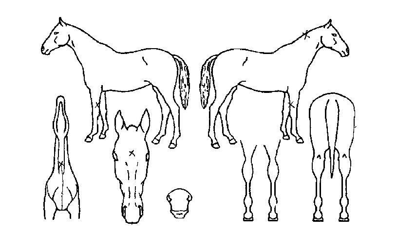 ��Ÿ�� ����,���,�޸�,�λ�,�ٸ��� Ư¡����