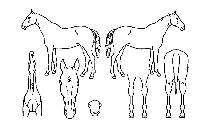 ������ġ�� ����,���,�޸�,�λ�,�ٸ��� Ư¡����