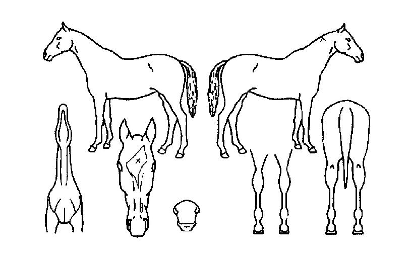 �õ����� ����,���,�޸�,�λ�,�ٸ��� Ư¡����